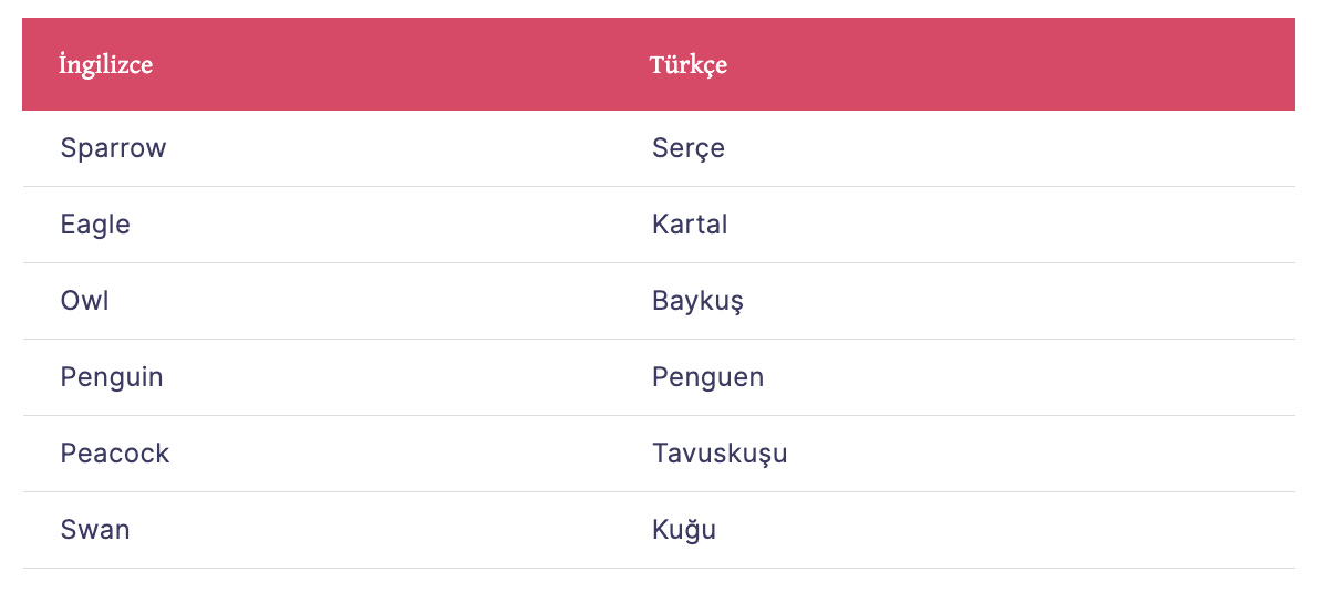 İngilizce Kuşlar