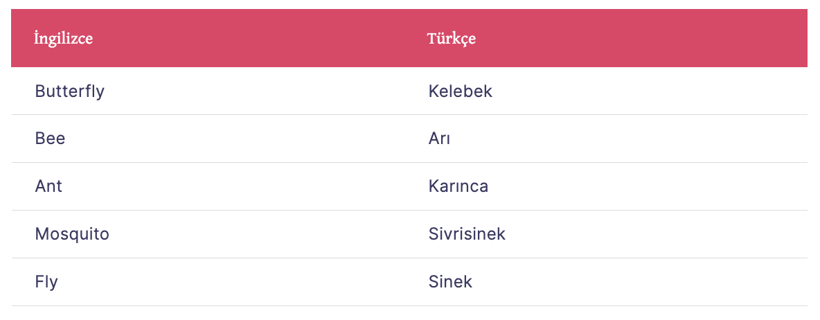 İngilizce böcekler
